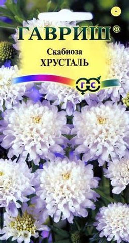 Скабиоза Хрусталь 0,2гр (г)