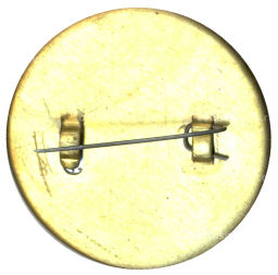Значок Ростов -на -Дону