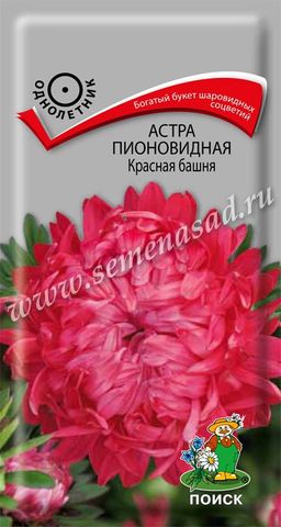 Астра (однолетняя) пионовидная Красная башня (ЦВ) (1) 0,3гр.