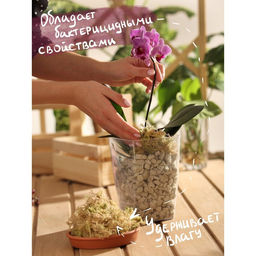 Мох Рецепты Дедушки Никиты 1,5 л  фото 4