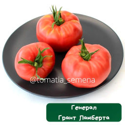 Генерал грант Ламберта