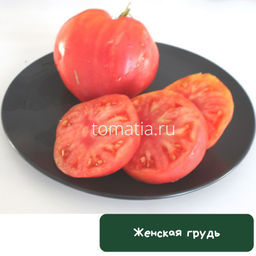 Женская грудь