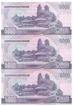 5000 вон 2006 года Северная Корея  Лист из трех банкнот