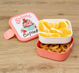 Контейнер для обеда (с вкладышем) 0,4+0,4л в ассорт. арт. М1232