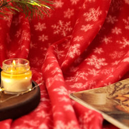 Плед флисовый новогодний «Экономь и Я. Snow», 150×180 см