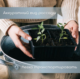 Цена за 4 шт. Кассета для рассады, 6 ячеек по 120 мл, пластик, чёрная, набор 5 шт. - Simaland фото 6