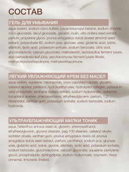 Новинка Vivienne Sabo Skincare Дорожный набор уходовой косметики для лица Basic Luxury 3-в-1