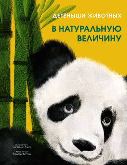 Детёныши животных в натуральную величину. Фогато В.