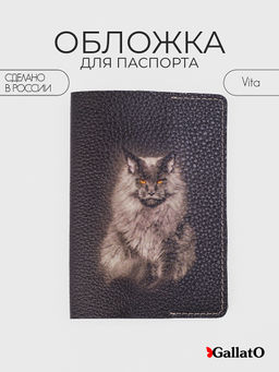Обложка для паспорта VITA2