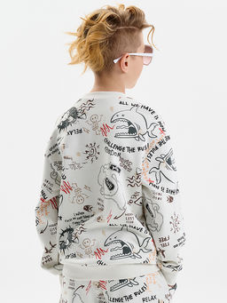 BFN3389/1 Толстовка для мальчиков