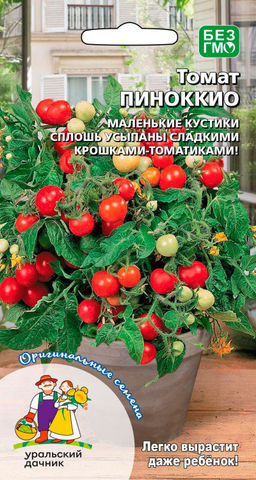 Томат ПИНОККИО  Маленькие кустики сплошь усыпаны сладкими крошками- томатами!