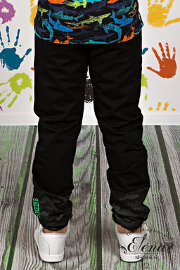 Брюки М22115ВШа Черный