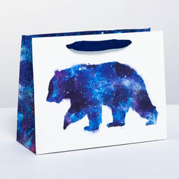 Пакет подарочный горизонтальный Мишка, MS 23 x 18 10 см