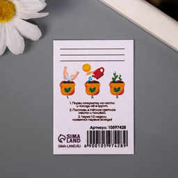 Набор открыток для выращивания «Арт Узор. Вырасти сам. Счастье» с семенами, 5×7 см 3 шт.