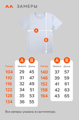 Детская футболка Happyfox