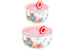 Набор 2 салатников - 13*13*6,5 см 560 мл+10,5*10,5*6 см 260 мл Совушки с плас.крыш. NEW BONE CHINA - Elan gallery фото 7