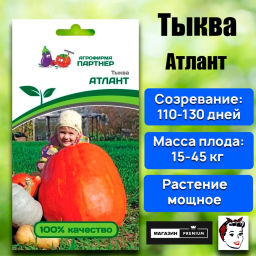 Тыква Атлант - Партнер фото 5