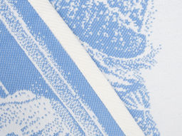 9с25.110ж1 В окошке(ДТЭ регата) Салфетка 50х50см