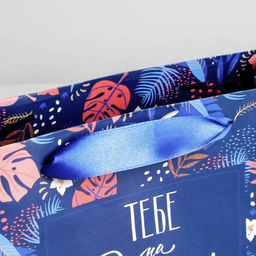 Цена за 2 шт. Пакет подарочный ламинированный, упаковка, Тебе на радость 22?17.5?8 см