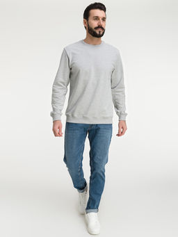 Свитшот мужской GREG G121-OZ02-28 (св.серый м.)  фото 4