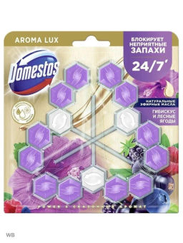 ДОМЕСТОС блок д/очищения унитаза 3х55гр Сказочный аромат