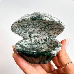 Морской Гребешок из Агата мохового