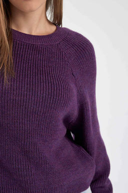 Крутой свитер стандартной посадки с круглым вырезом - Defacto фото 6