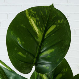 Куст искусственный «Лирата», h=70 см