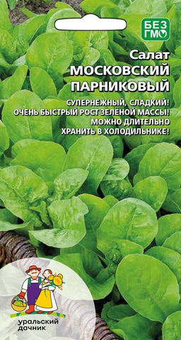 Салат МОСКОВСКИЙ ПАРНИКОВЫЙ Супернежный, сладкий! Очень быстрый рост зелёной массы! Можно длительно хранить в холодильнике!