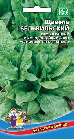 Щавель БЕЛЬВИЛЬСКИЙ  Самый ранний и холодостойкий сорт! Устойчив к стеблеванию!