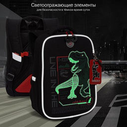 RAw-497-10 Рюкзак школьный - Grizzly фото 17