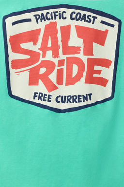 CAMISETA ESTAMPADO / Verde claro
