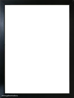 Рамка для картины на холсте 30х40 / ZR208B-208 / Рамка для картины на холсте 30х40 / ZR208B-208 /