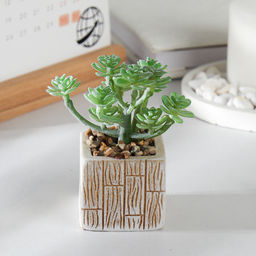 Цветочная композиция Кактус / WER-15 /уп 12/288/ микс - Галеонтрейд фото 3