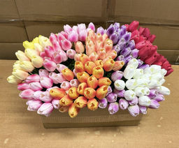 Тюльпан сиреневый 35см, ЭКО силикон