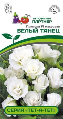 Примула махровая Тет-А-Тет Белый Танец