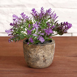 Искусственный цветок в горшке «Седум», 6×10 см, МИКС