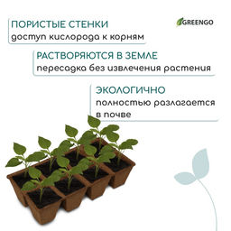 Цена за 60 шт. Кассета для рассады, 30×15×8 см, 8 ячеек по 150 мл, торф, 6×6 см