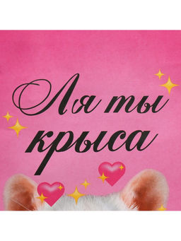 Цена за 2 шт. Пакет подарочный, упаковка, Ля ты, 22?22?11 см