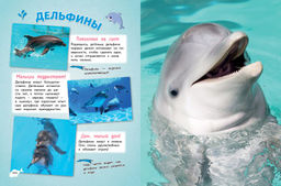 Самые милые животные. Большая энциклопедия для маленьких