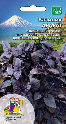 Базилик АРАРАТ  Изысканный аромат! Лист сочный, не грубеет! Для кавказского долголетия!