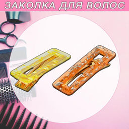 Заколки декоративные Buro набор 2 шт