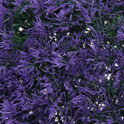 Искусственное растение шар "Самшит" цветы фиолетовые D-34см Ultramarine