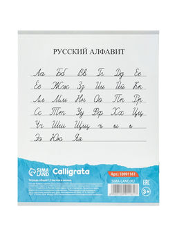 Цена за 250 шт. Тетрадь 12 листов в линейку Calligrata KIDS, блок №2, 5 В МИКС