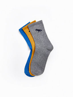 Desenli Erkek ?ocuk Soket ?orap 3l?