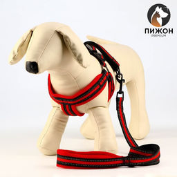 Комплект амуниции светоотражающий с мягкими шлейкой и ручкой, поводок 120 х 2 см, ОШ 25-72 см, красн