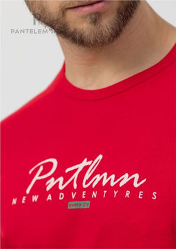 Футболка мужская MF-1087 - Pantelemone фото 5