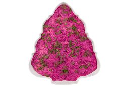 Шубница 25,5*22,2*4 см 1000 мл Елочка