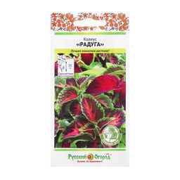 Цена за 2 шт. Цветы Колеус Радуга, смесь (зел.дом) (0,05г)