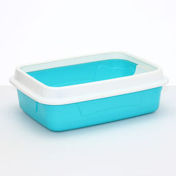 Туалет с бортом и сеткой, 45×34×15 см, белый, бирюзовый